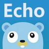 Echo 教程
