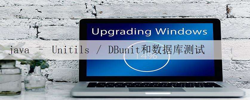 java – Unitils / DBunit和数据库测试