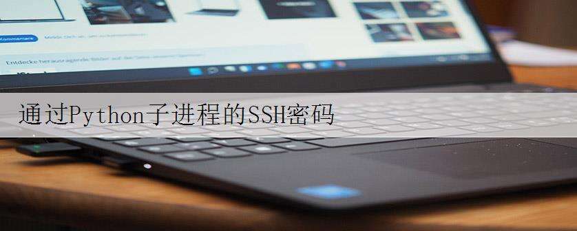 通过Python子进程的SSH密码
