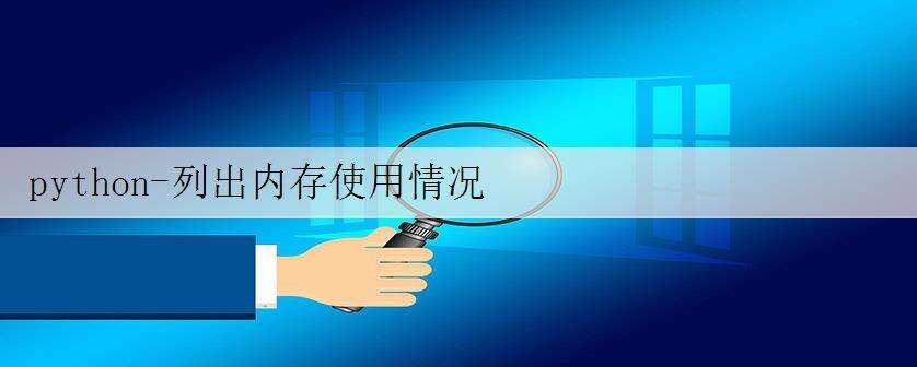 python-列出内存使用情况