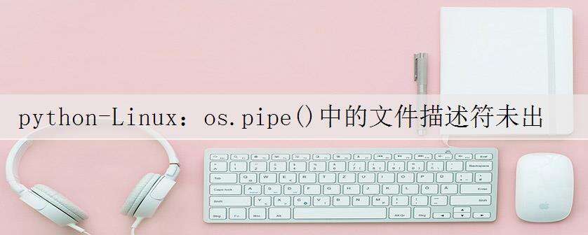 python-Linux:os.pipe()中的文件描述符未出现在/ dev / fd中