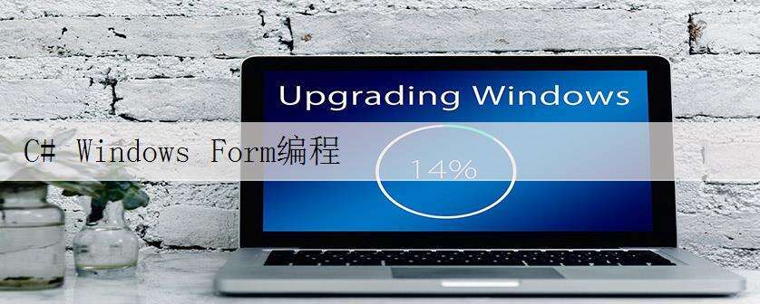 C# Windows Form编程