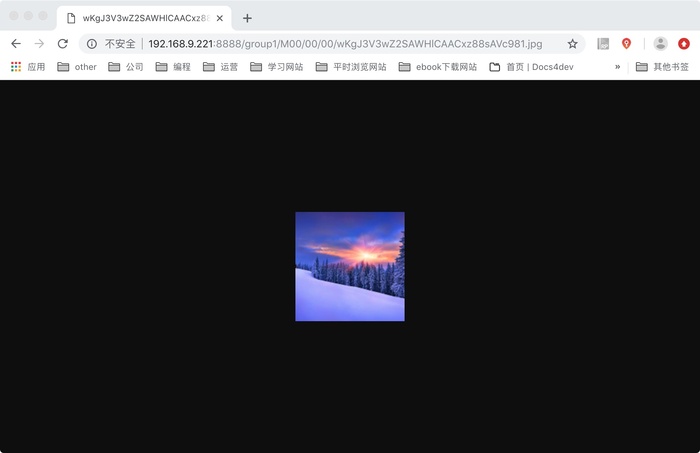 Nginx+FastDFS+MacOS图片服务器的搭建