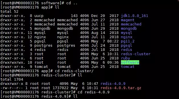 redis 5.0 集群搭建